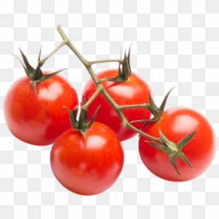 Tomatoes - Plum Tomato Clipart