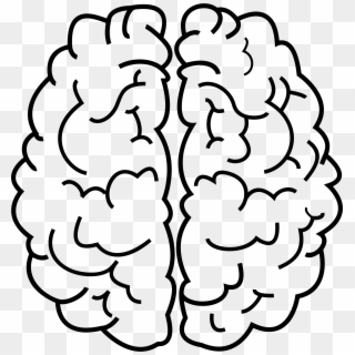 Big Image Png - Brain Outline No Background Clipart