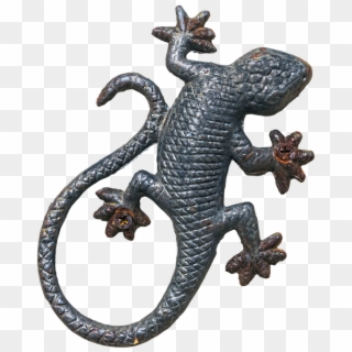Jaszczurka Png Clipart
