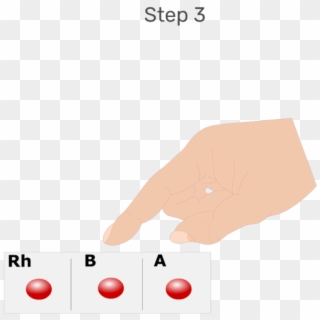 Animation Of Large Drops Of Blood Being Placed In Each - Blood Clipart