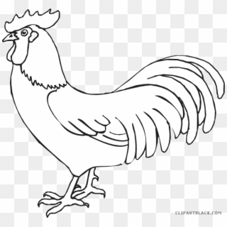 Rooster Clipart Rooster Outline - Rooster Black And White - Png Download