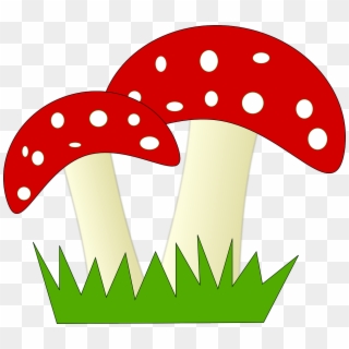 Small - Mushroom Clipart - Png Download