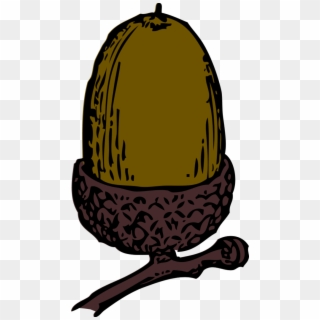 Acorn Clip Art - Nothing Like A Good Nut - Png Download