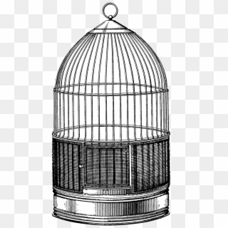 Steampunk Bird Cages - Vintage Bird Cage Drawing Clipart