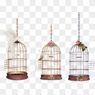 Free Png Download White Bird Cage Png Images Background - Birds Cage Png Clipart