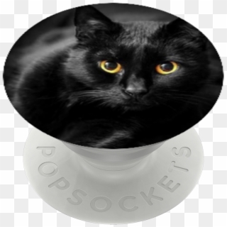Spade♤ , Popsockets - Black Cat Clipart
