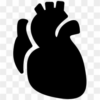 Png File Svg - Heart Anatomy Icon Png Clipart