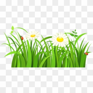 Free Png Download Grass With Daisies And Lady Bugs - Green Grass Vector Png Clipart