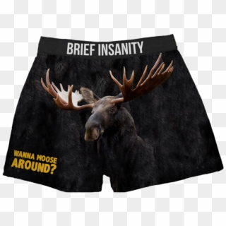 Moose Boxer Shorts Wanna Moose Around Clipart