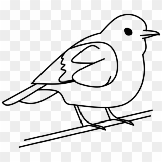 Bird Tree Out Line Free Vector Graphic On Pixabay With - Bird Black And White Clip Art - Png Download