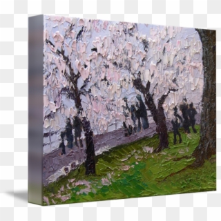Landscape Drawing Cherry Blossom - Canoe Birch Clipart