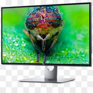 Free Png Dell Computer Monitor Png Png Image With Transparent - Dell 8k Clipart