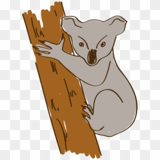 668 X 906 4 - Koala Clipart