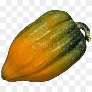 Free Png Pumpkin Png Images Transparent - Acorn Meaning In English Clipart