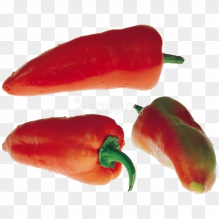 Free Png Download Red Pepper Png Images Background - Chili Pepper Clipart