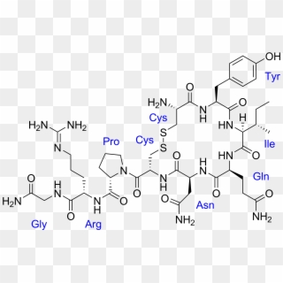 Vasotocin With Labels - Dopamine Serotonin Oxytocin And Endorphins Tattoo Clipart