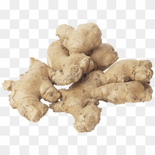 Free Png Ginger Png Images Transparent - Dried Ginger Png Clipart