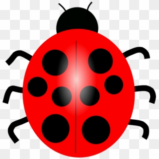 Red Ladybug Transparent Images Png - Lady Bug Clip Art