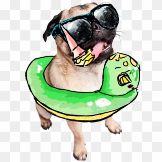 Drawn Transparent Summer Pug - Summer Pug Art Png Clipart