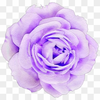#purple #rose #roses #aesthetic #cute #tumblr - Flower Clipart
