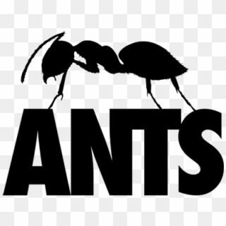 Ants Ushuaia Clipart