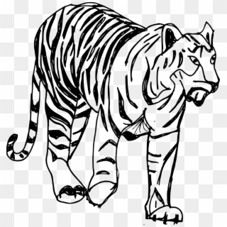 982 X 1024 3 - Tiger Drawing Clipart