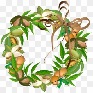 Fall Wreath Made Of Nuts Png Clipart Best Transparent Png
