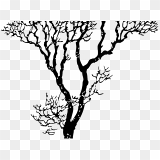 Tree Line Art - Tree Black And White Image Clipart - Png Download