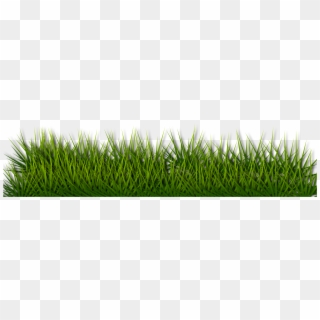 This Free Icons Png Design Of Grass 2 Clipart