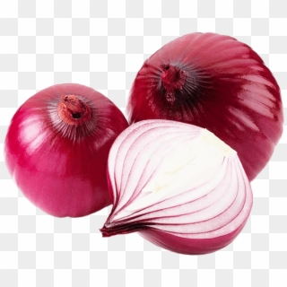 Brinjal Png Download - Onion Png Clipart