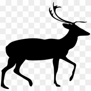 Stag Clip Art - Png Download
