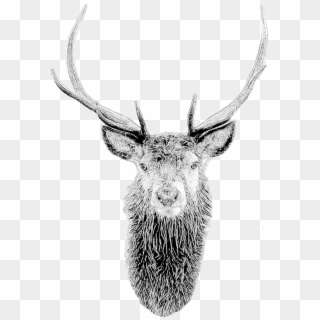 Deer Mask Deer Head Stag Mask Printable Diy Pdf Template - Sketch Clipart