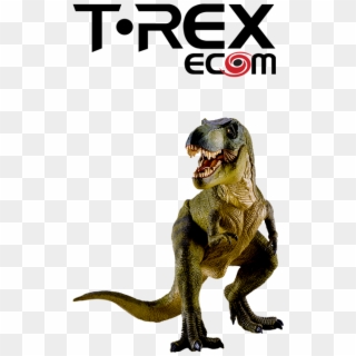 T-rexecom Logo - Tyrannosaurus Clipart