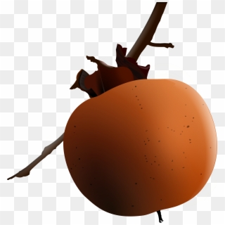 Persimmon Png Transparent Images - 감 Png Clipart