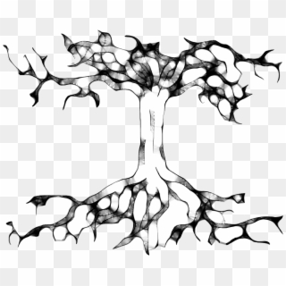 Tree Roots Tree Roots, First Nations, Mother Nature, - Tree Drawing Clipart