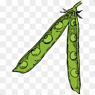 This Free Icons Png Design Of Pea Pod Clipart