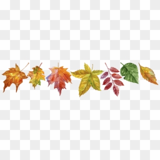 Falling Leaves - Maple Leaf Clipart