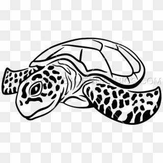 Drawn Sea Turtle Screen Print - Sea Turtle Line Art Clipart