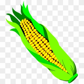 Ear Of Corn - Vegetable Clip Art - Png Download