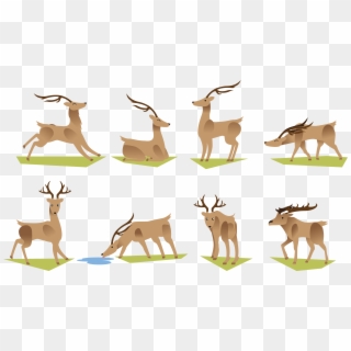 Reindeer Antler Cartoon Deer Grazing Transprent Png - กวาง กิน หญ้า การ์ตูน Clipart
