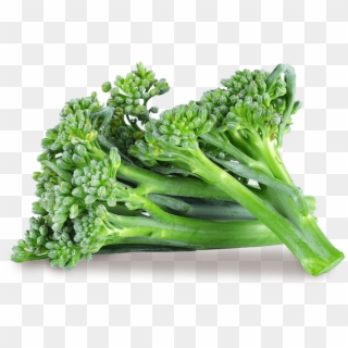 Baby Broccoli - Broccoli Clipart