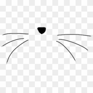 Thumb Image - Cat Whiskers Clipart Black And White - Png Download