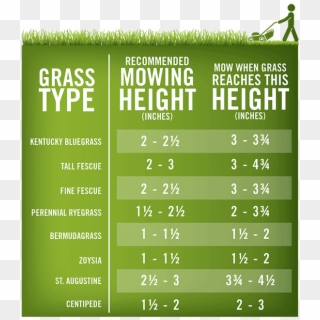 Lawn-mowing Height Chart - Grass Mowing Height Clipart
