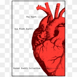 The Heart Pocket Poetry Collection - Cartoon Heart Anatomy Clipart