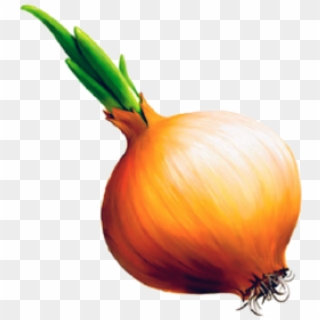 Onion Png Free Download - Детей Лук Clipart