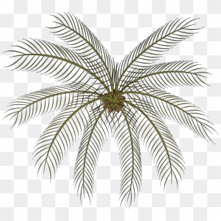 Clipart Palm 02a - Gare Do Oriente - Png Download
