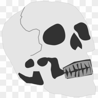 Skull And Crossbones Human Skeleton - Clipart Skull Head Small - Png Download