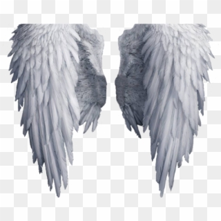 Angel Wings Png - Transparent Background Angel Wings Png Clipart
