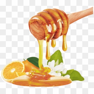 Honey Type Azahar - Honey On Fruits Clipart