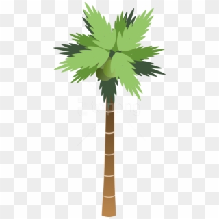 Free Png Download Palm Tree Clipart Png Photo Png Images - Cartoon Palm Tree Png Transparent Png